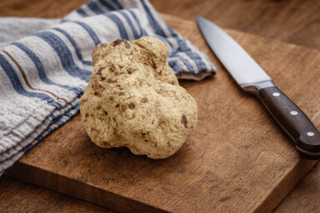 La truffe blanche d'Alba - présentation